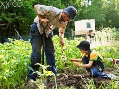 آموزش اسرار باغبانی ، آموزش اصول باغبانی و گل کاری، طراحی فضای سبز