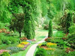 آموزش اسرار باغبانی ، آموزش اصول باغبانی و گل کاری، طراحی فضای سبز