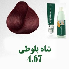 کیت رنگ موی گیاهی آموس وان، رنگ شاه بلوطی	