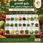 پکیج اقتصادی بذر سبزیجات و صیفی‌جات خانگی، مجموعه کامل بذر